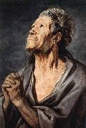 JORDAENS, Jacob An Apostle oil painting reproduction